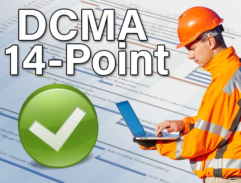 how to run a DCMA 14 point check