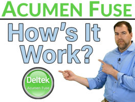 How To Run a Schedule Check Using Deltek Acumen Fuse