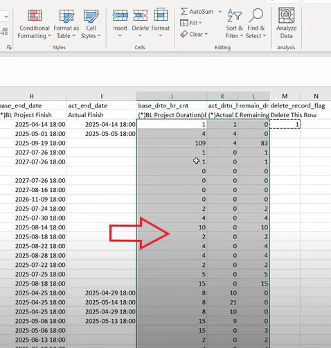 p6 export to excel