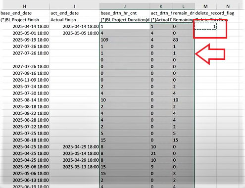 p6 export to excel