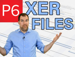 Understanding Primavera XER Files