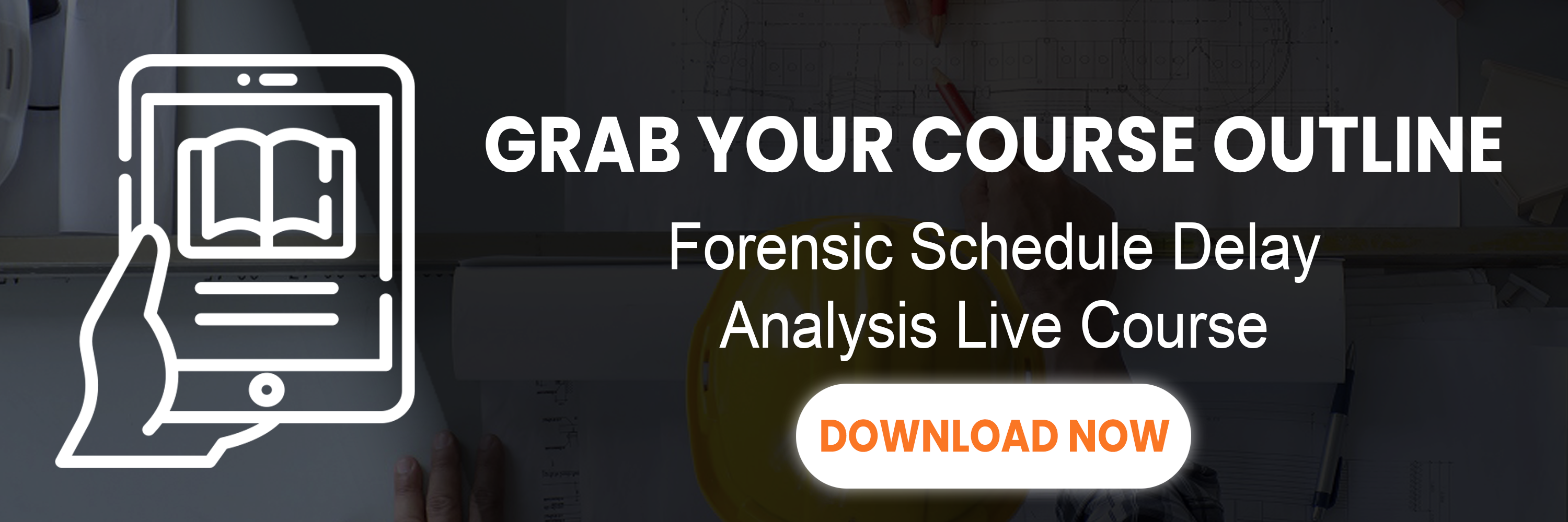 forensic schedule delay analysis